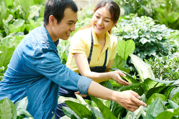 外国人実習生